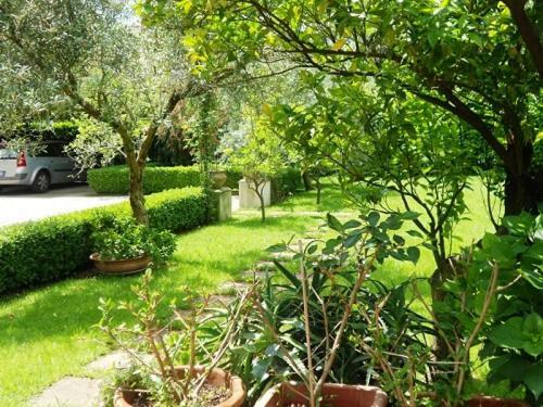 Villa Scimmia Scauri (Lazio) Exterior foto